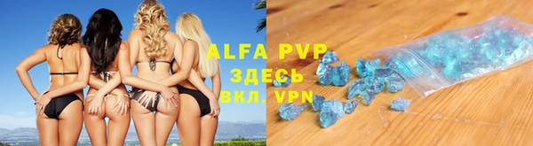 молекула духа Арсеньев