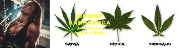 молекула духа Арсеньев