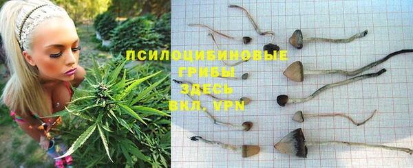 каннабис Армянск
