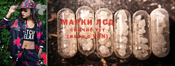 молекула духа Арсеньев