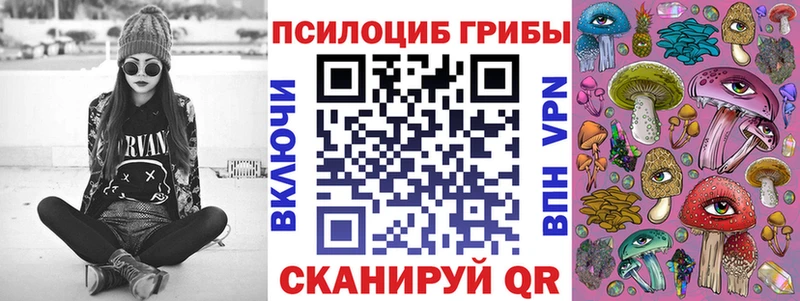 Псилоцибиновые грибы GOLDEN TEACHER  KRAKEN как зайти  Ельня 